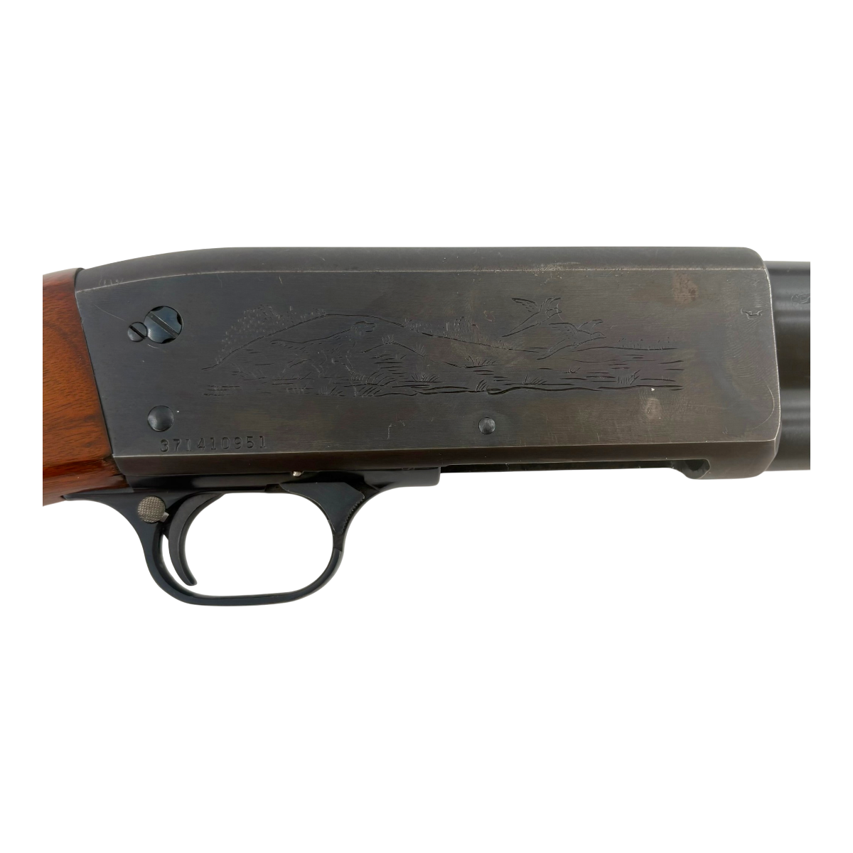 37-371410951