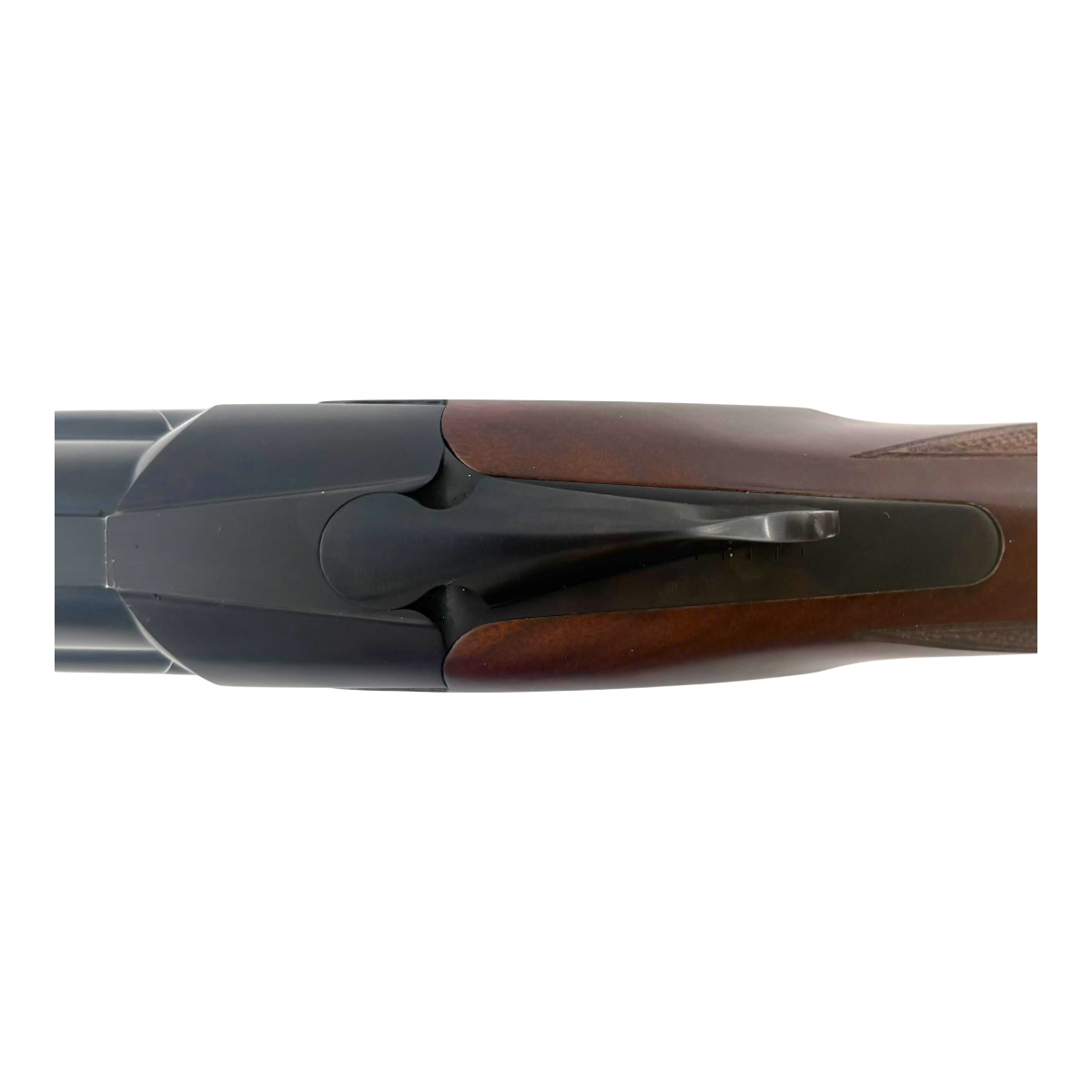 BT99-01209