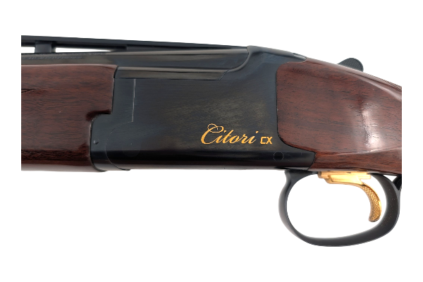 CIT-17038