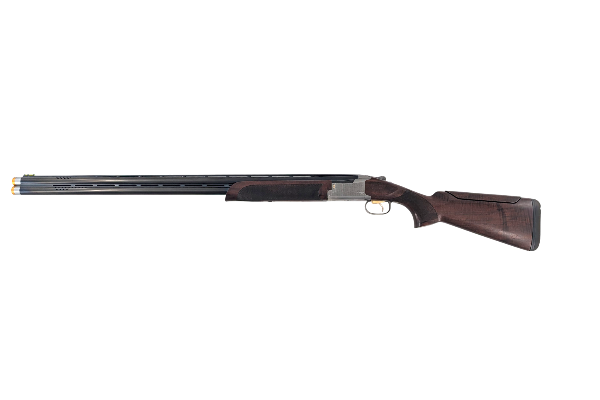 CIT-19038
