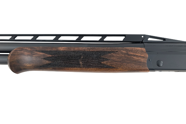 F3SS