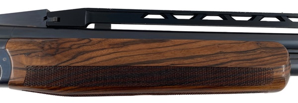 MX2000-118202